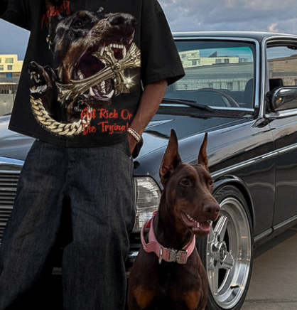 260319 Doberman collection