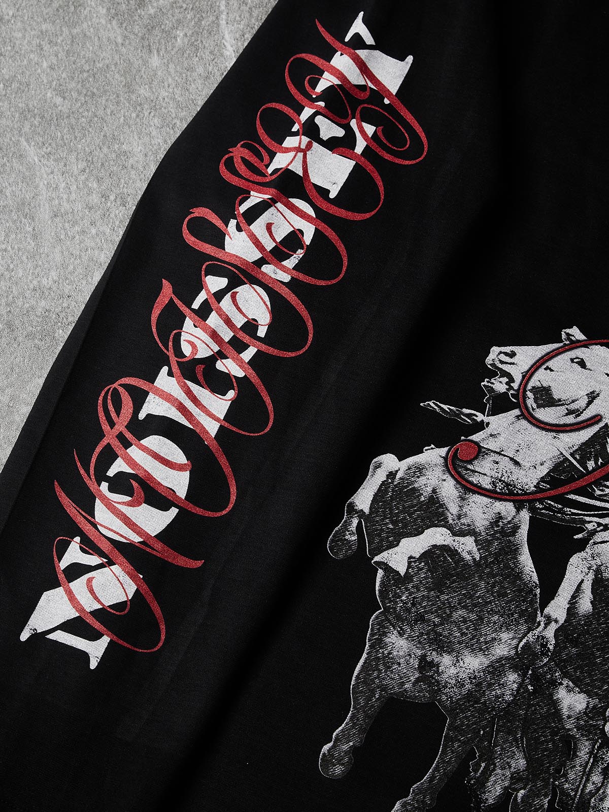 NOISSEY Distressed Victory Goddess Chariot Long Sleeve Shirt - Black
