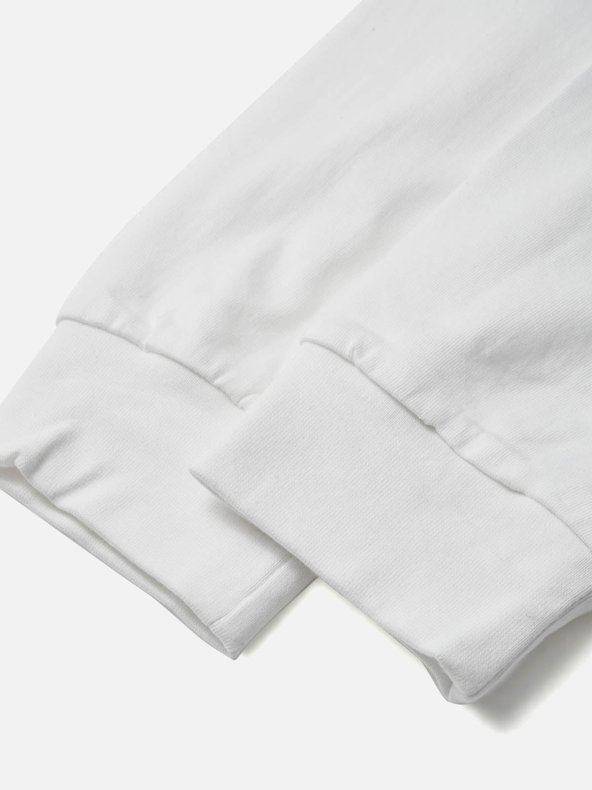 NOISSEY PEGASUS & TEMPLE VINTAGE GRAFT ART PRINT LONG SLEEVE