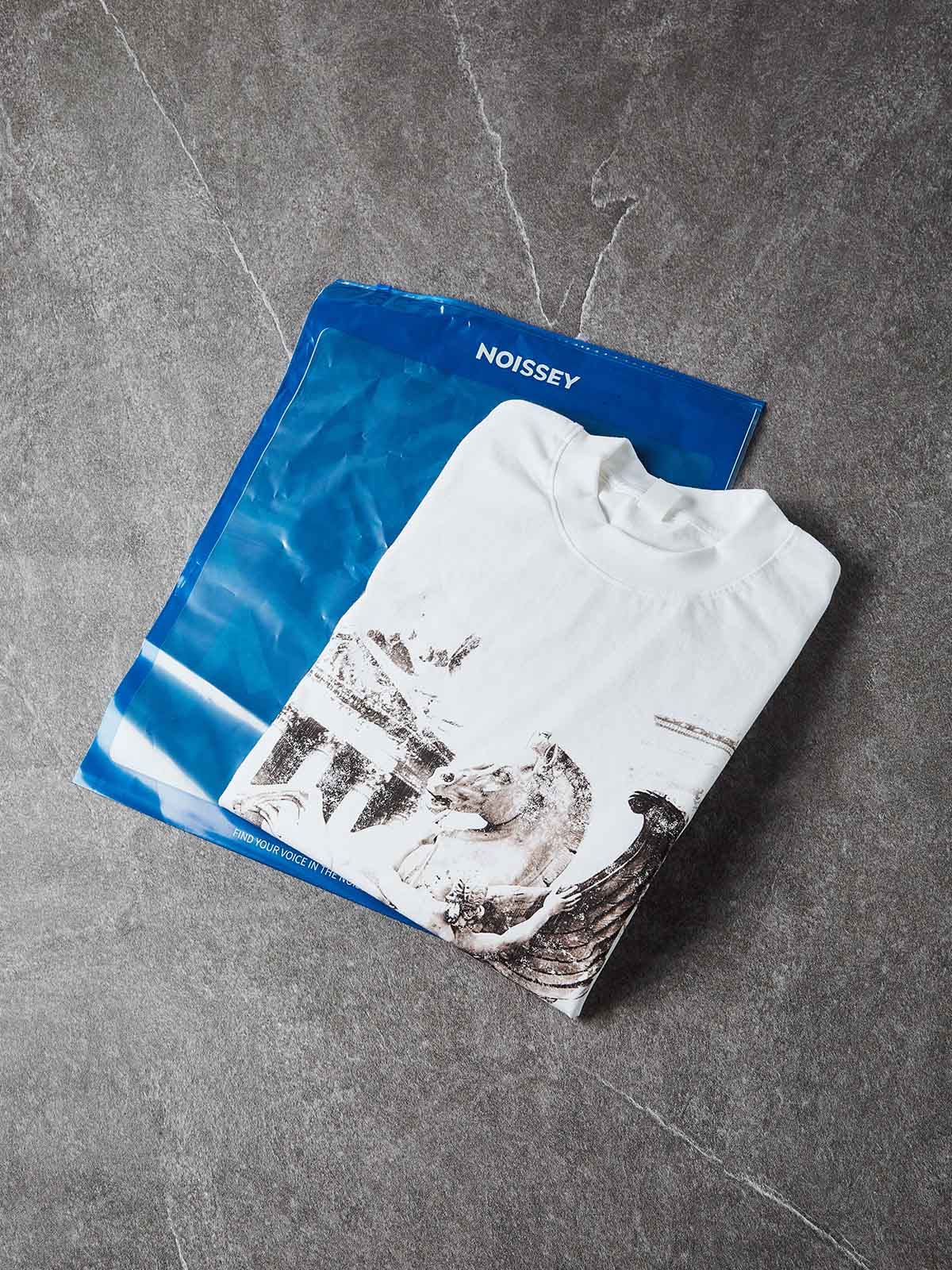 NOISSEY PEGASUS & TEMPLE VINTAGE GRAFT ART PRINT LONG SLEEVE