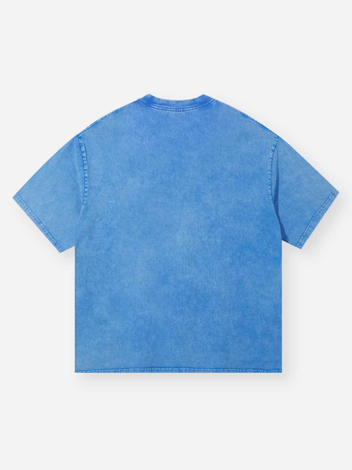 Blue butterfly art veil washed printed T-shirt