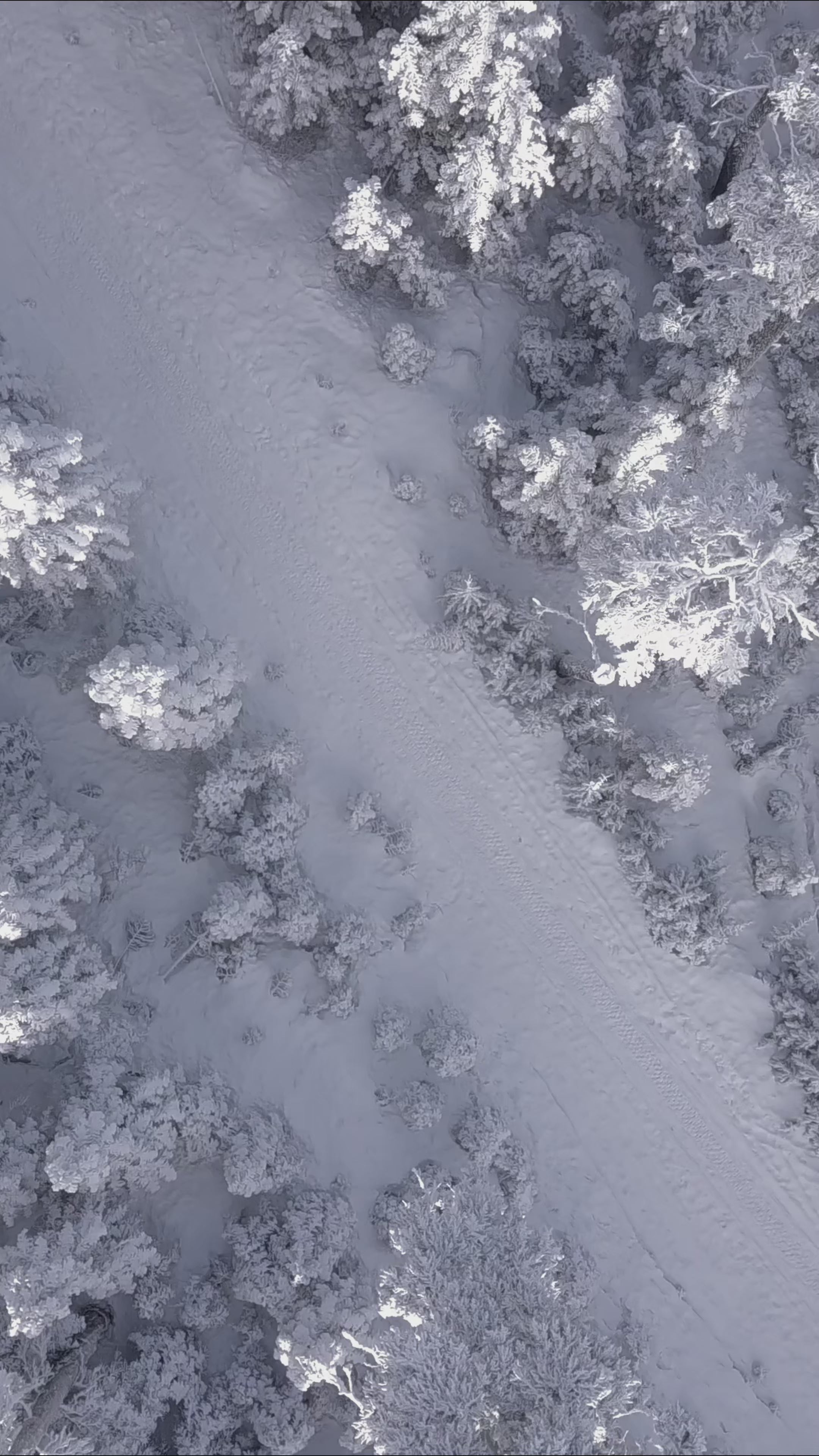 Cross Vintage Grills Black Sleeve Hot-Drill Print Hoodie